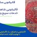 آدرس قالیشویی در شاهین ویلا